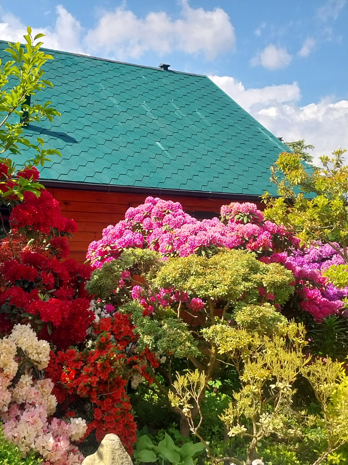 Jak naprawić dach z gontu bitumicznego